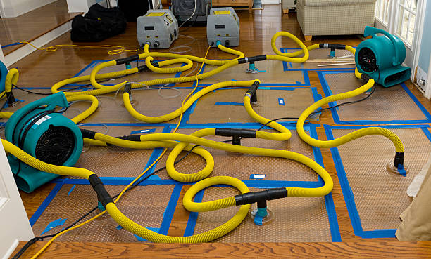Professional Structural Drying And Dehumidification technician working in Genoa, OH